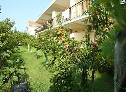 Bed And Breakfast Cirelli Scalea Buitenkant foto