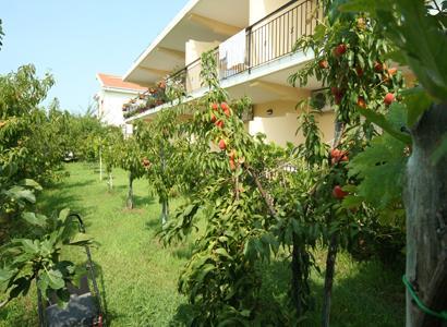 Bed And Breakfast Cirelli Scalea Buitenkant foto